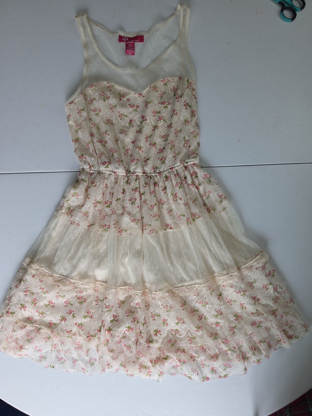 Up Ultra Pink Rose Floral Ivory coquette Mini Dress Mesh Lace Sheer Sz Xs C42